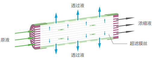 尊龙凯时人生就是博z6com(中国游)官网